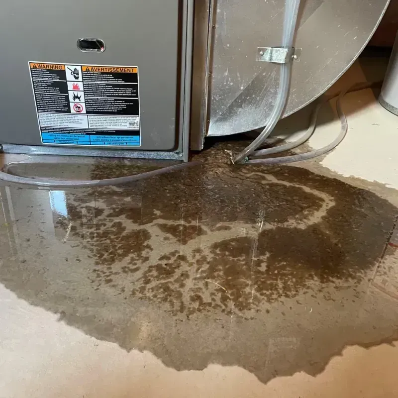 Appliance Leak Cleanup in Odessa, FL